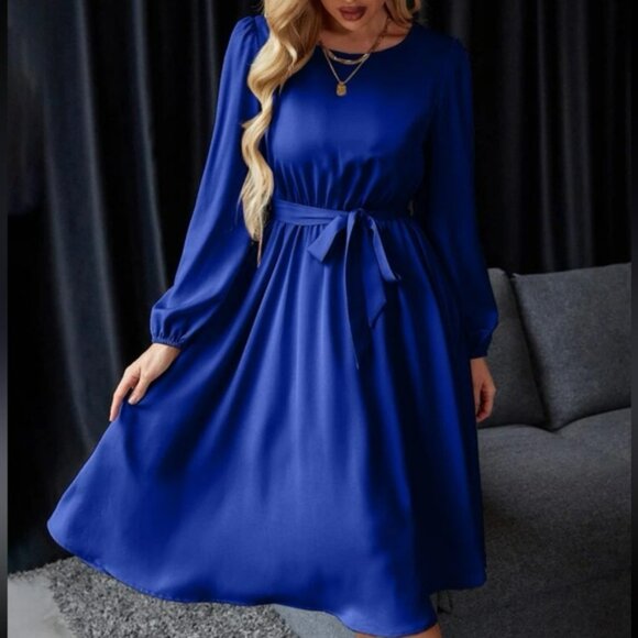 Luxe lantern sleeve belted dress - Picture 15 of 15
